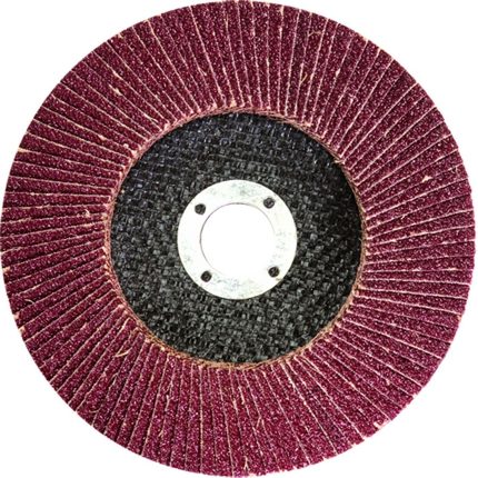 Lamelasti brusni disk 125mm , P 40 MTX 740429